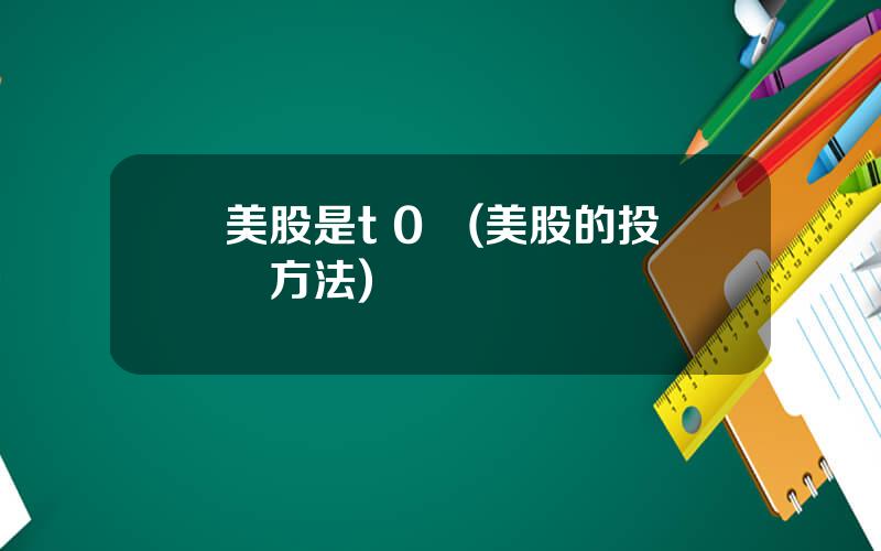 美股是t 0嗎(美股的投資方法)